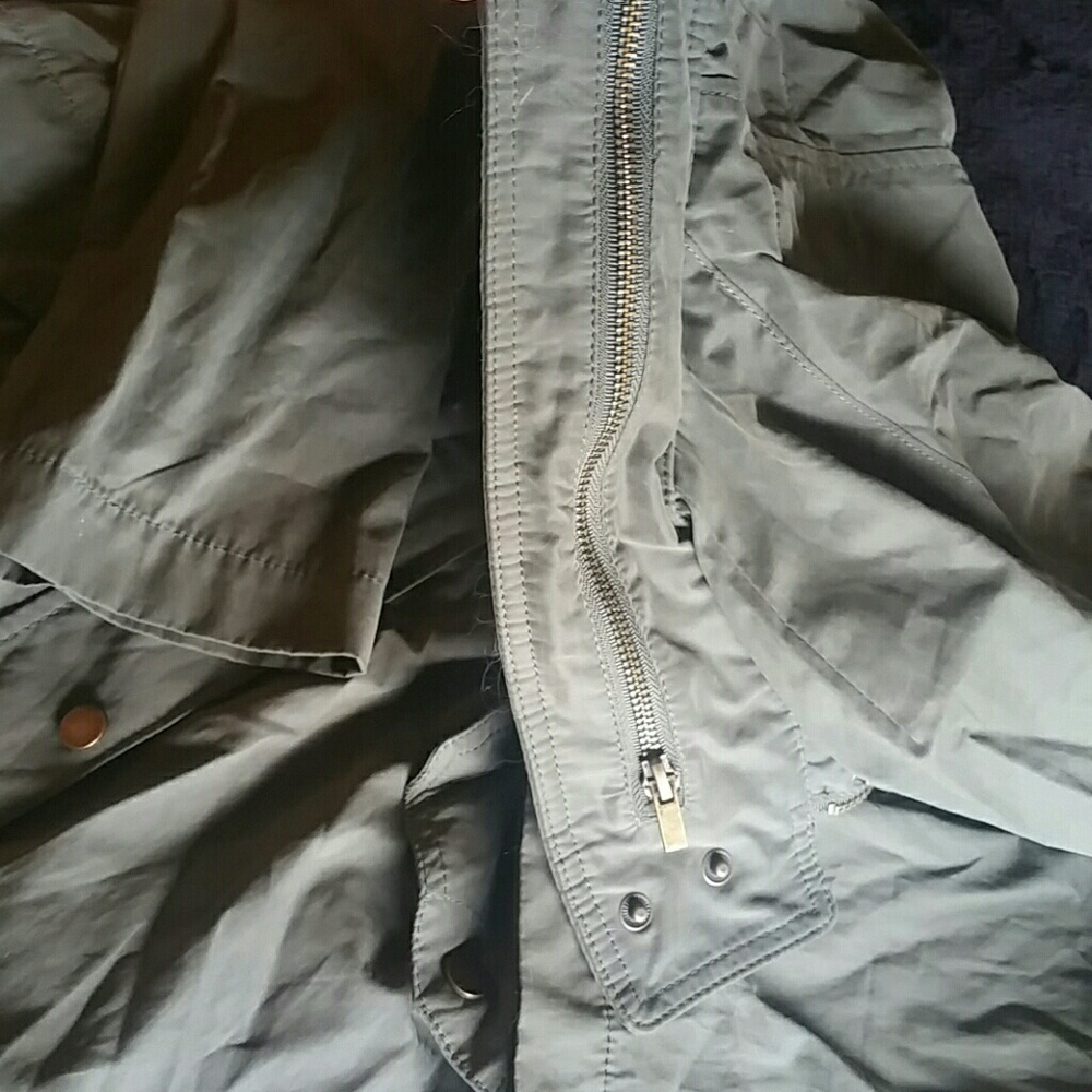 Jacket - Picture 3 of 5